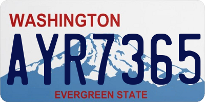 WA license plate AYR7365