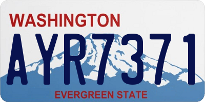 WA license plate AYR7371