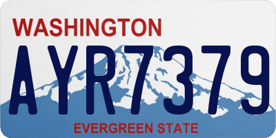 WA license plate AYR7379