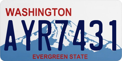 WA license plate AYR7431