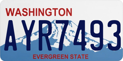 WA license plate AYR7493