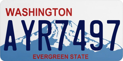 WA license plate AYR7497