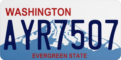 WA license plate AYR7507