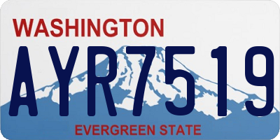 WA license plate AYR7519
