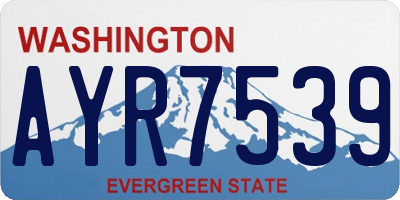 WA license plate AYR7539