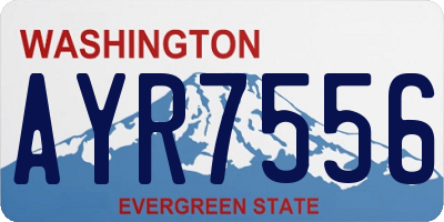 WA license plate AYR7556