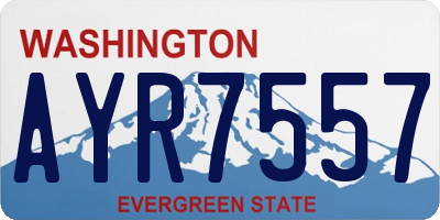 WA license plate AYR7557