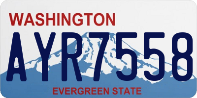 WA license plate AYR7558