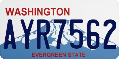 WA license plate AYR7562