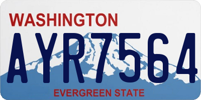 WA license plate AYR7564
