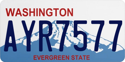 WA license plate AYR7577