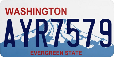 WA license plate AYR7579