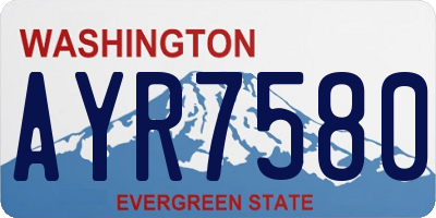 WA license plate AYR7580