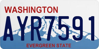 WA license plate AYR7591