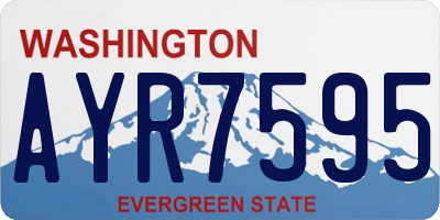 WA license plate AYR7595