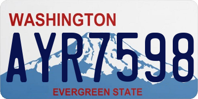 WA license plate AYR7598