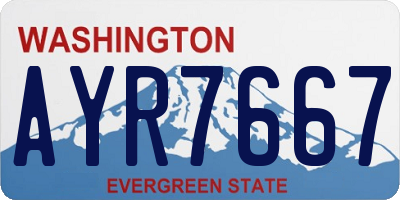 WA license plate AYR7667