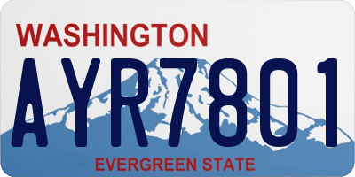 WA license plate AYR7801