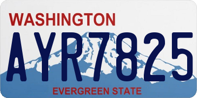 WA license plate AYR7825