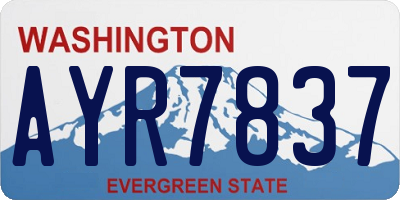 WA license plate AYR7837