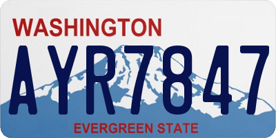 WA license plate AYR7847