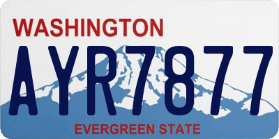 WA license plate AYR7877