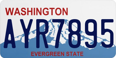WA license plate AYR7895
