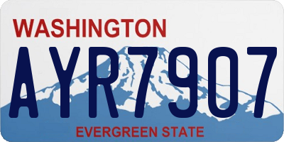 WA license plate AYR7907