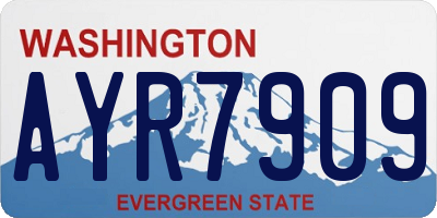 WA license plate AYR7909