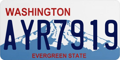 WA license plate AYR7919