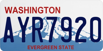 WA license plate AYR7920
