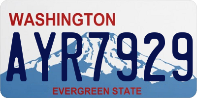 WA license plate AYR7929
