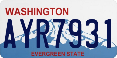 WA license plate AYR7931