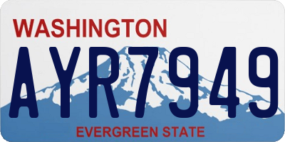 WA license plate AYR7949