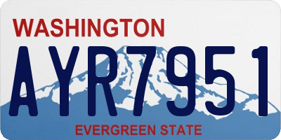 WA license plate AYR7951