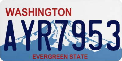 WA license plate AYR7953