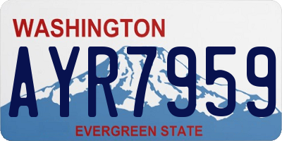 WA license plate AYR7959