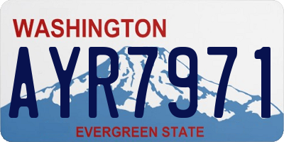 WA license plate AYR7971