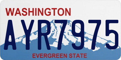 WA license plate AYR7975
