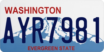WA license plate AYR7981