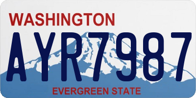 WA license plate AYR7987