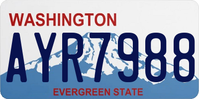 WA license plate AYR7988