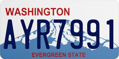 WA license plate AYR7991