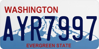 WA license plate AYR7997