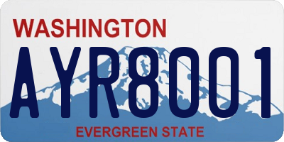WA license plate AYR8001