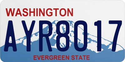 WA license plate AYR8017