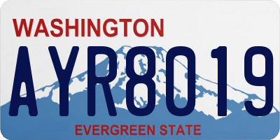 WA license plate AYR8019