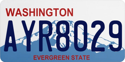 WA license plate AYR8029