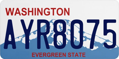 WA license plate AYR8075