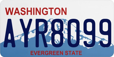 WA license plate AYR8099